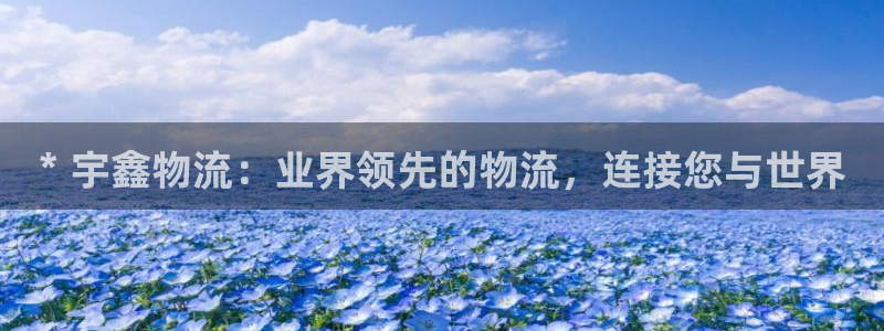 28圈p扣除