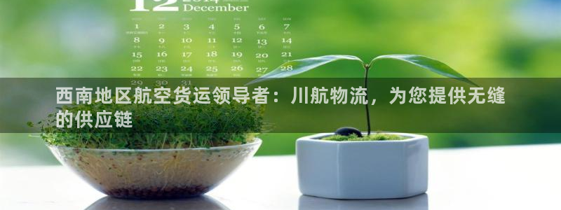 28圈网站怎么注册：西南地区航空货运