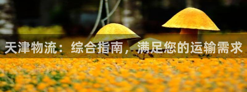 28圈模拟器