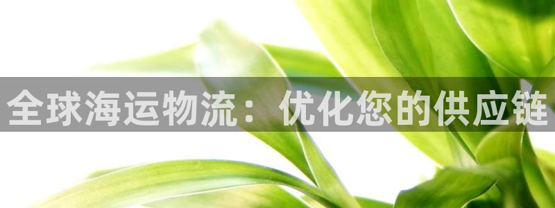 28圈女王中奖记录查询