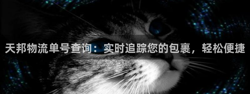 28圈官网多少