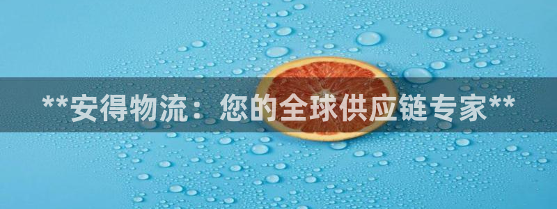 28圈注册登录流程：**安得物流：您