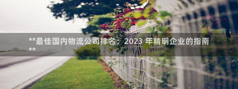 28圈ccm官网版