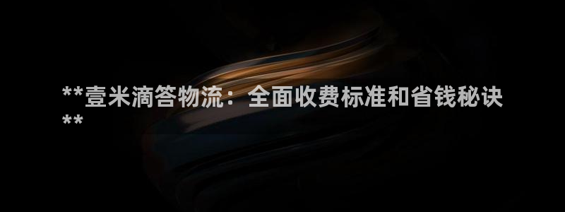 28圈代理落网