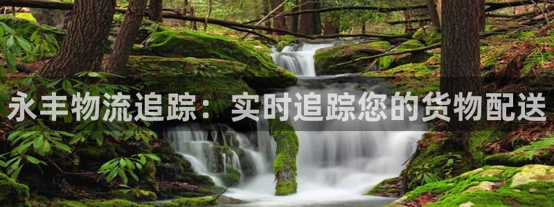 28圈是正规平台吗