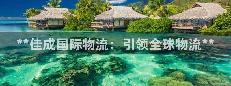 28圈怎么注册：**佳成国际物流：引