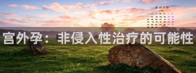 28圈官方