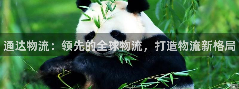 28圈注册网站链接：通达物流：领先的