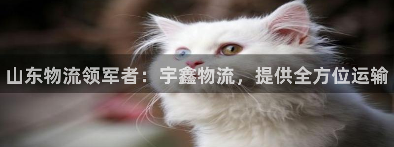 28圈软件是诈骗吗