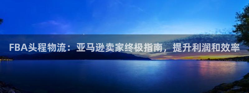 28圈注册网站链接怎么弄：FBA头程