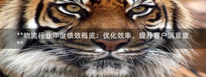 28圈充值方式