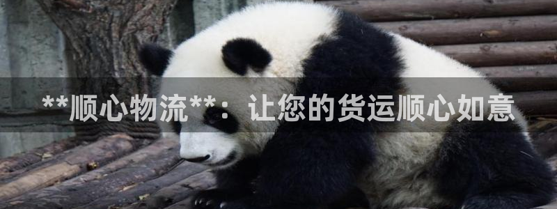 28圈.ccmpc是诈骗吗?