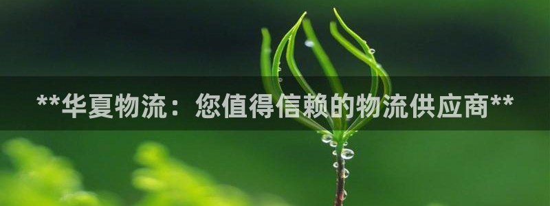 28圈如何注销账号