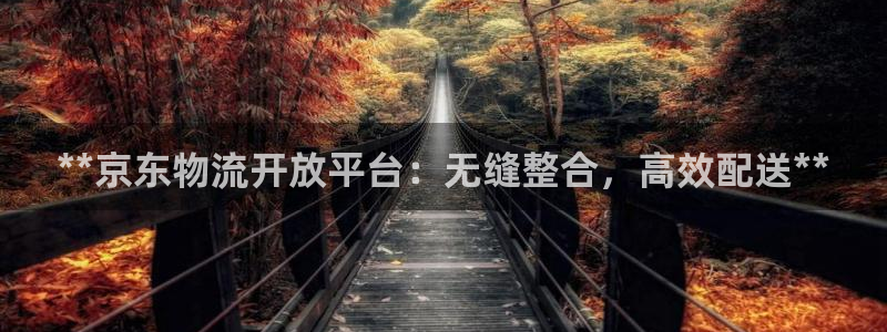 28圈pg麻将胡了