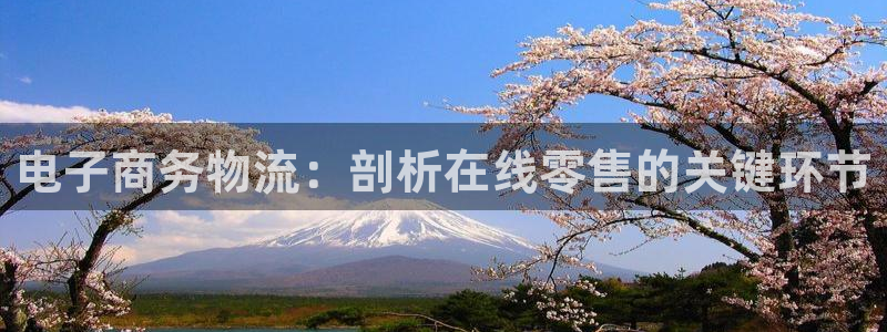 28圈官网多少