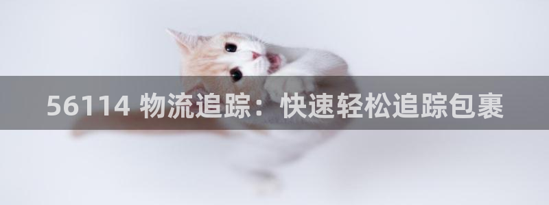 28圈.ccm