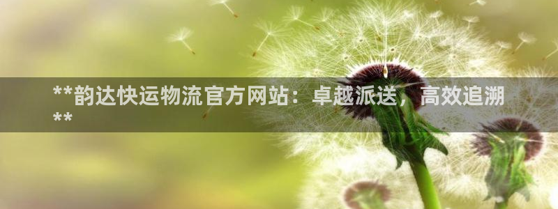 28圈注册平台