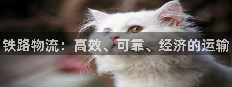 28圈提款一直没到