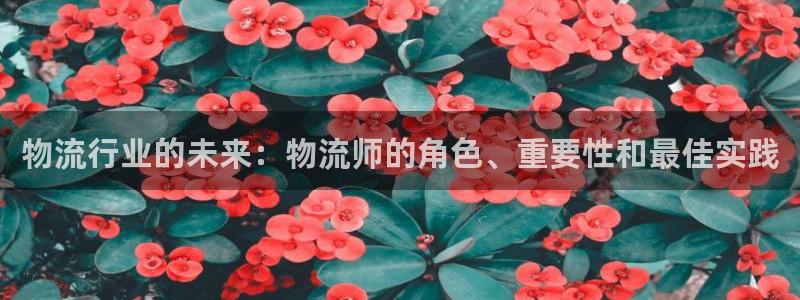 28圈注册登录链接流程