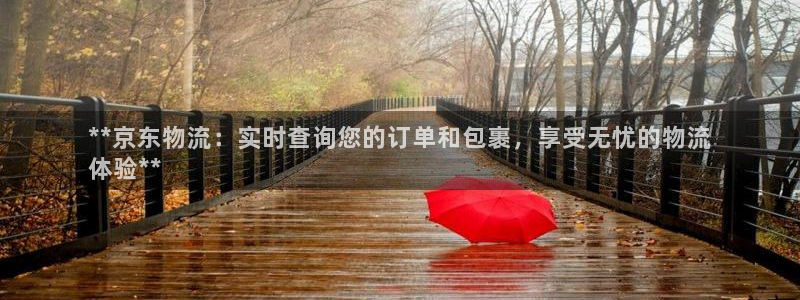 28圈注册账号