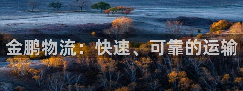 28圈游戏官网平台