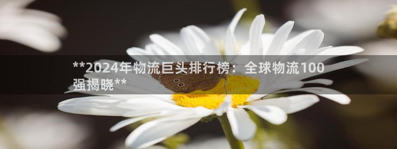 28圈是正规平台吗