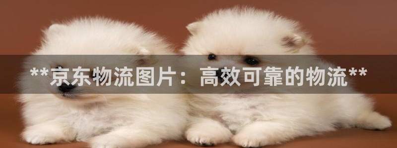 28圈软件有什么用