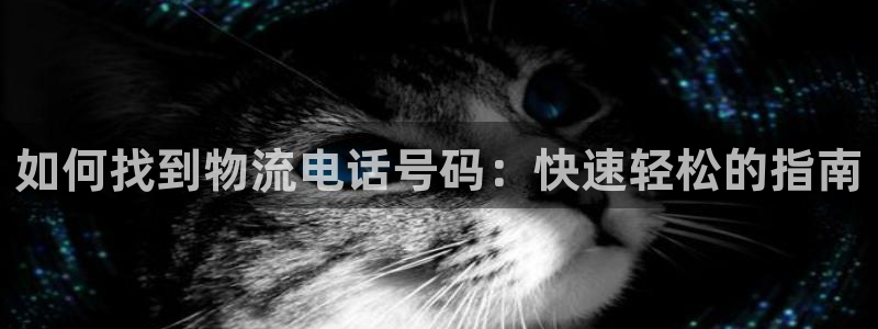 28圈如何退款