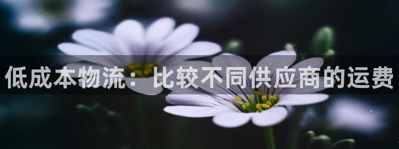 28圈官方版网站