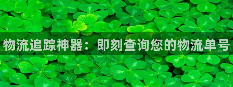 28圈.ccm