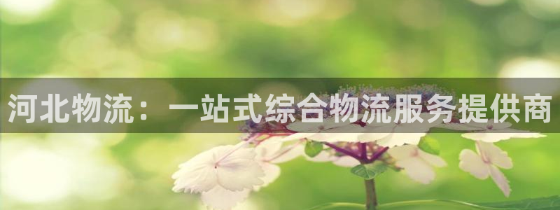 28圈注册链接教程