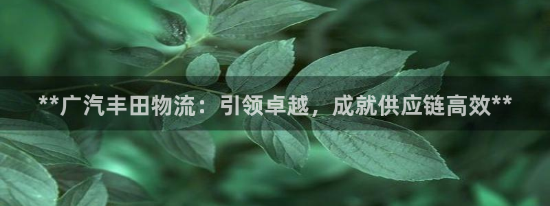 28圈能退款吗