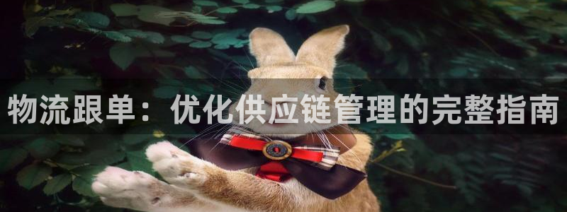 28圈充值不处理会怎么样