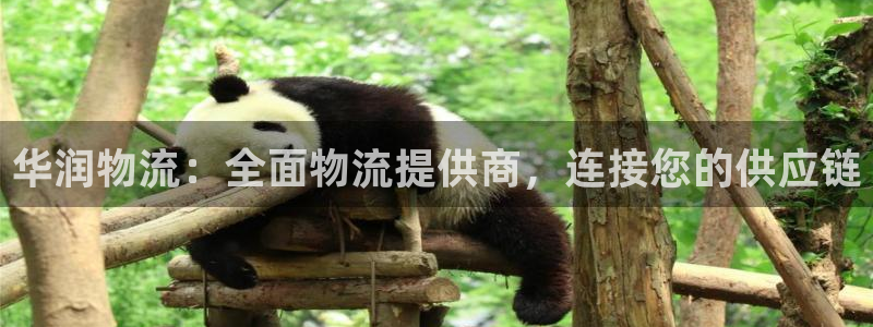 28圈链接是什么