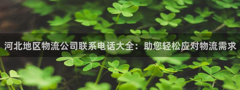 28圈充值不处理怎么办