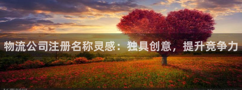 28圈官网网站