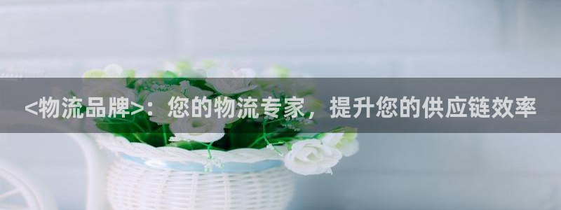 28圈加拿大最新版