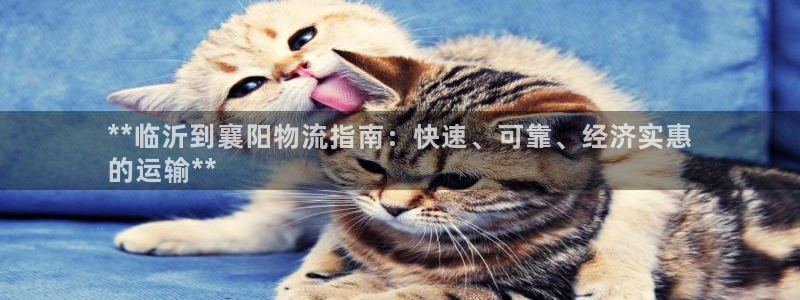 28圈预测