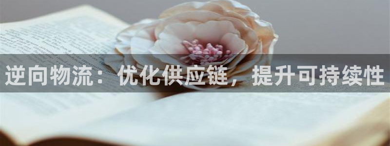 28圈官网网站