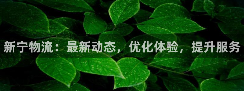 28圈app赢了500万