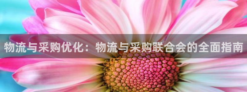 28圈预测