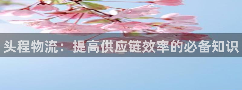 28圈加拿大官网