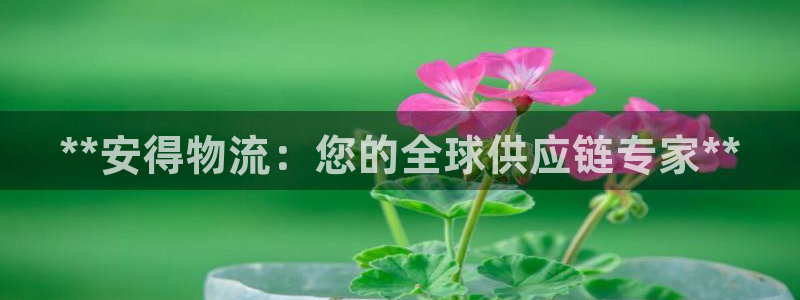 28圈账号注册