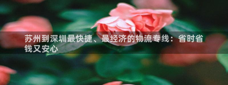 28圈分分压单双技巧