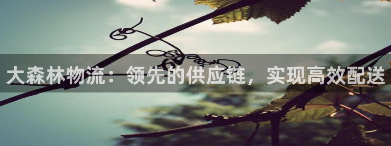 28圈加拿大是什么