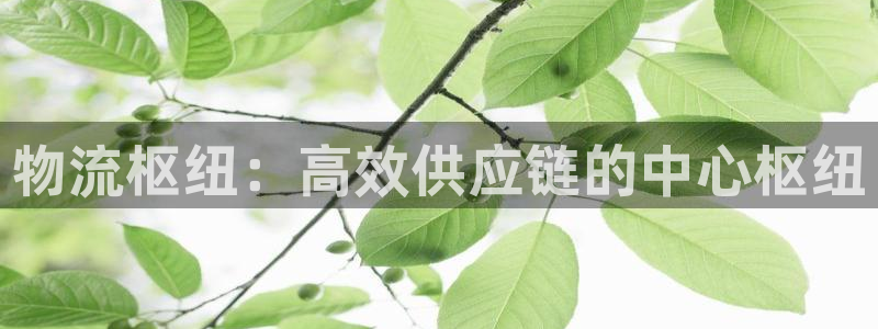 28圈app官网少林足球