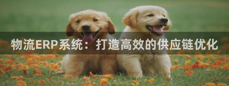 28圈加拿大技巧：物流ERP系统：打