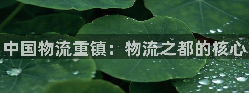 28圈反水怎么算