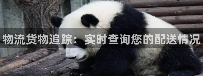 28圈官网开奖结果预测查询