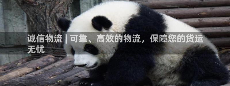 28圈注册网站APP：诚信物流 | 